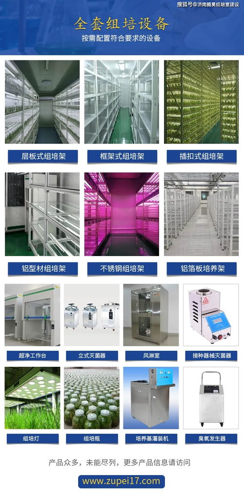 植物光源LED燈與熒光燈 技術(shù)特點(diǎn)與推廣策略
